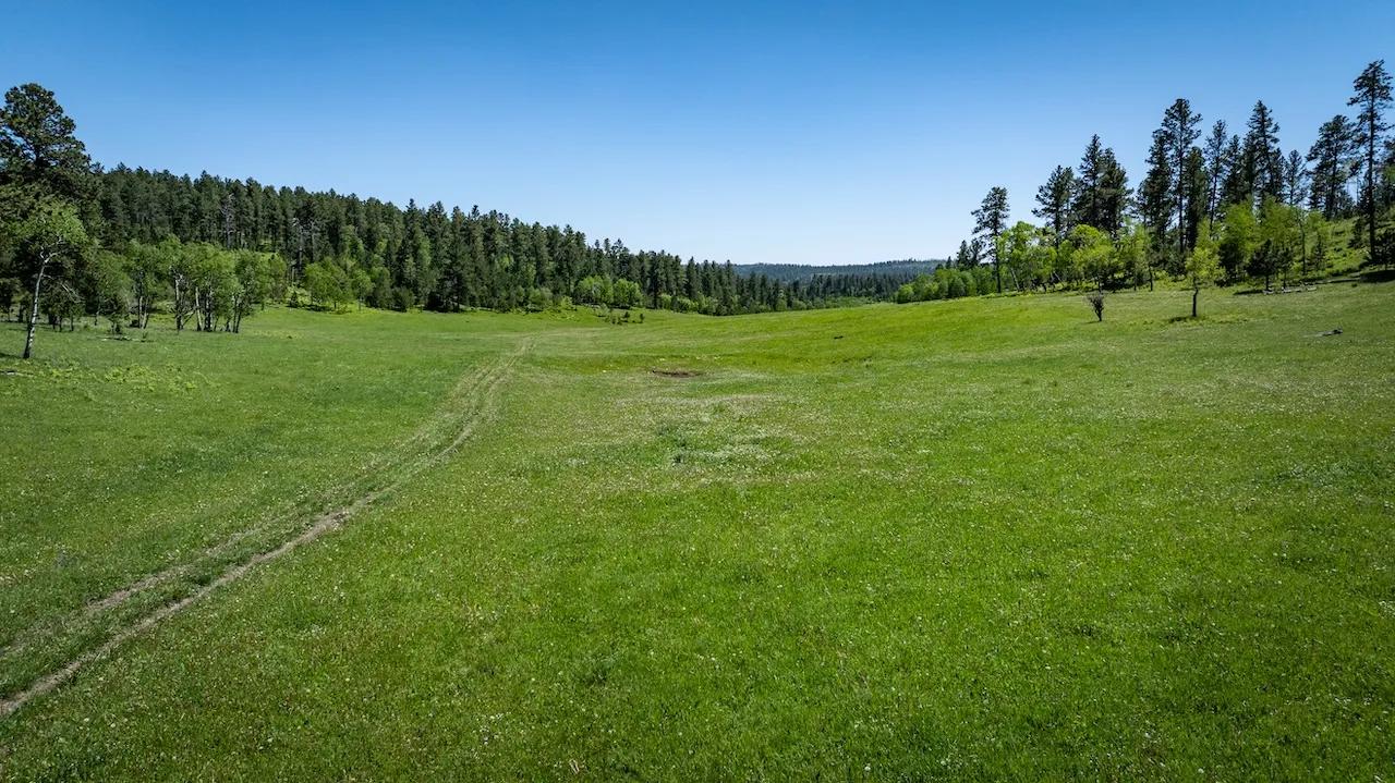 94659721-1