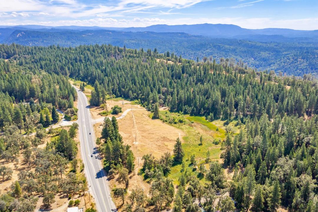 The Pines at Pioneer