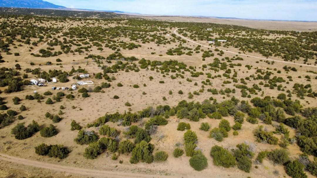 Lot 617 Pico Del Questa