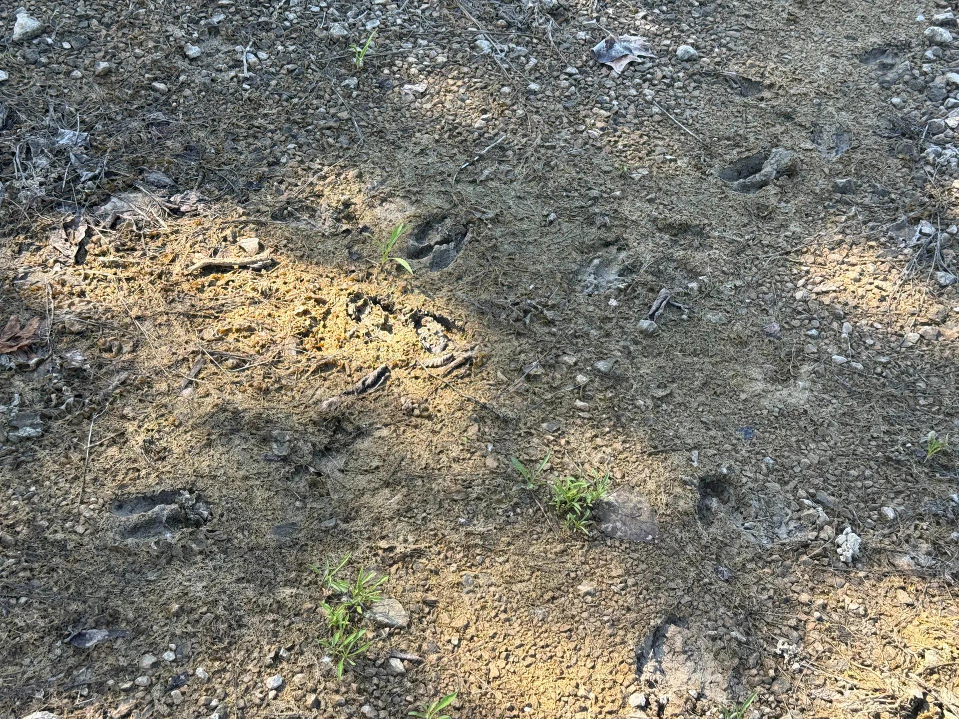 94742499-4