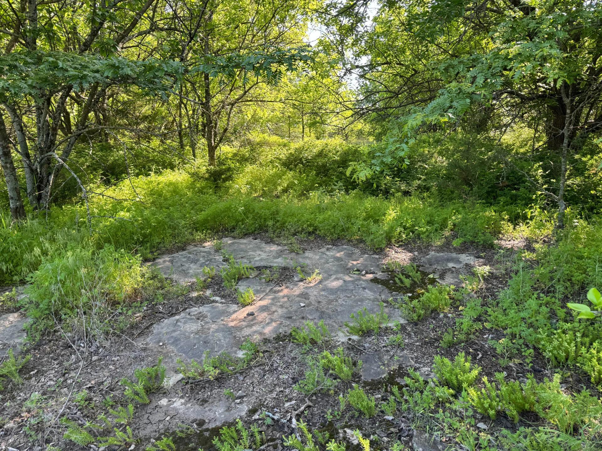 94742499-47