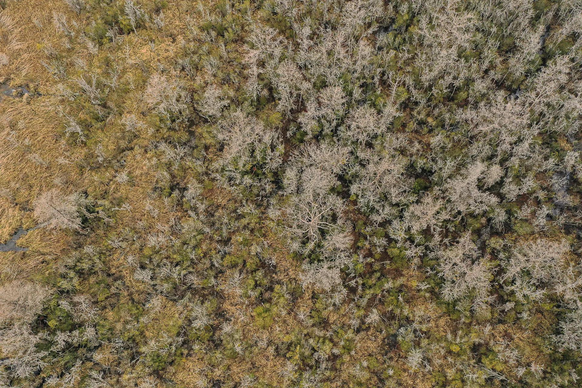 94744824-50