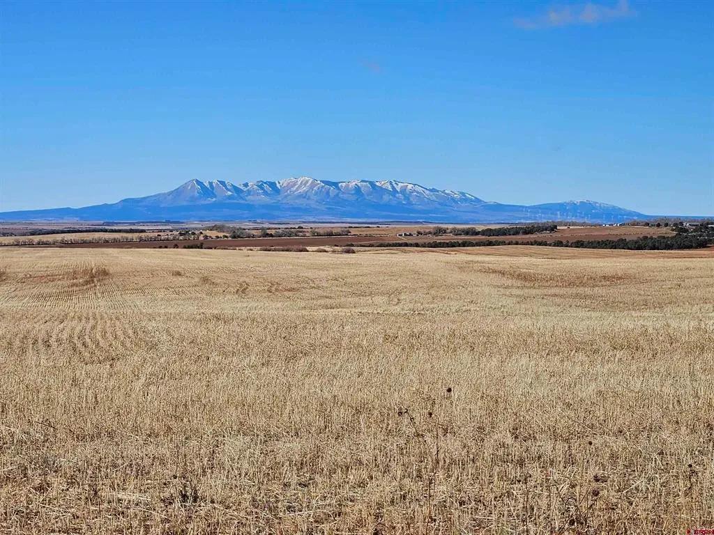 320 Acres of Farm Land 