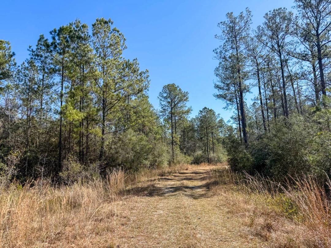 876.00 Acres at 0 Cable Bridge Road