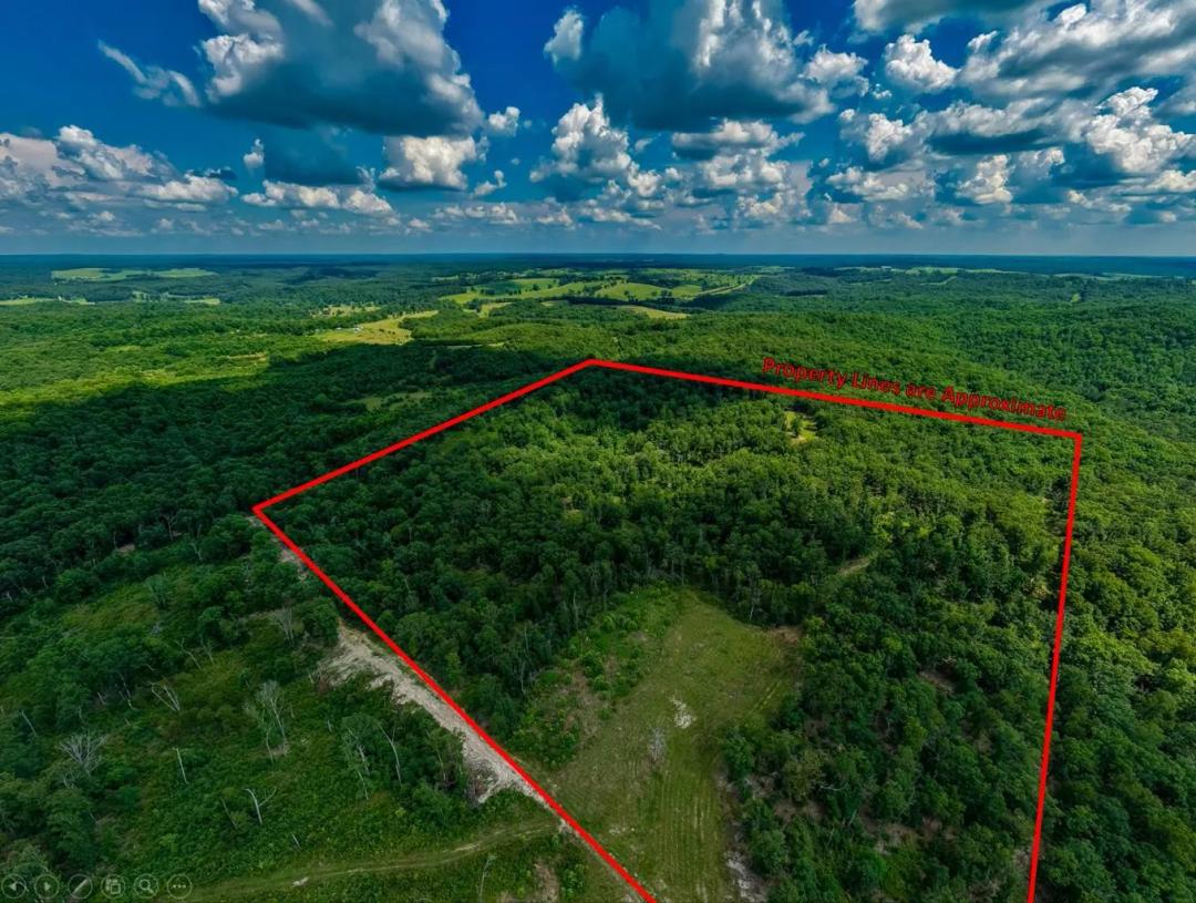 40 Private Acres with Views, New Well, Power, &amp; Hunting