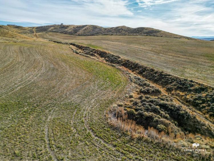 115 Acres - Craig, CO