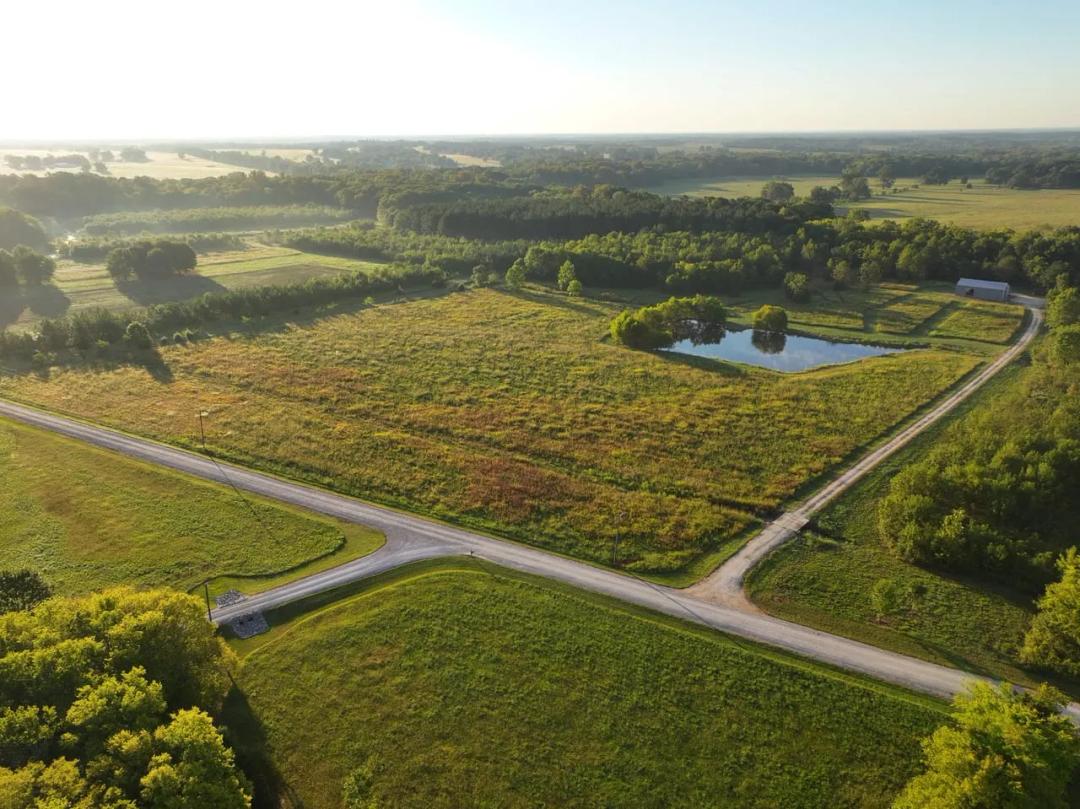 55 acres on Dani Lane in Mathews