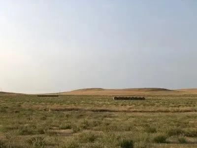 94952388-20