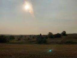 94952388-23