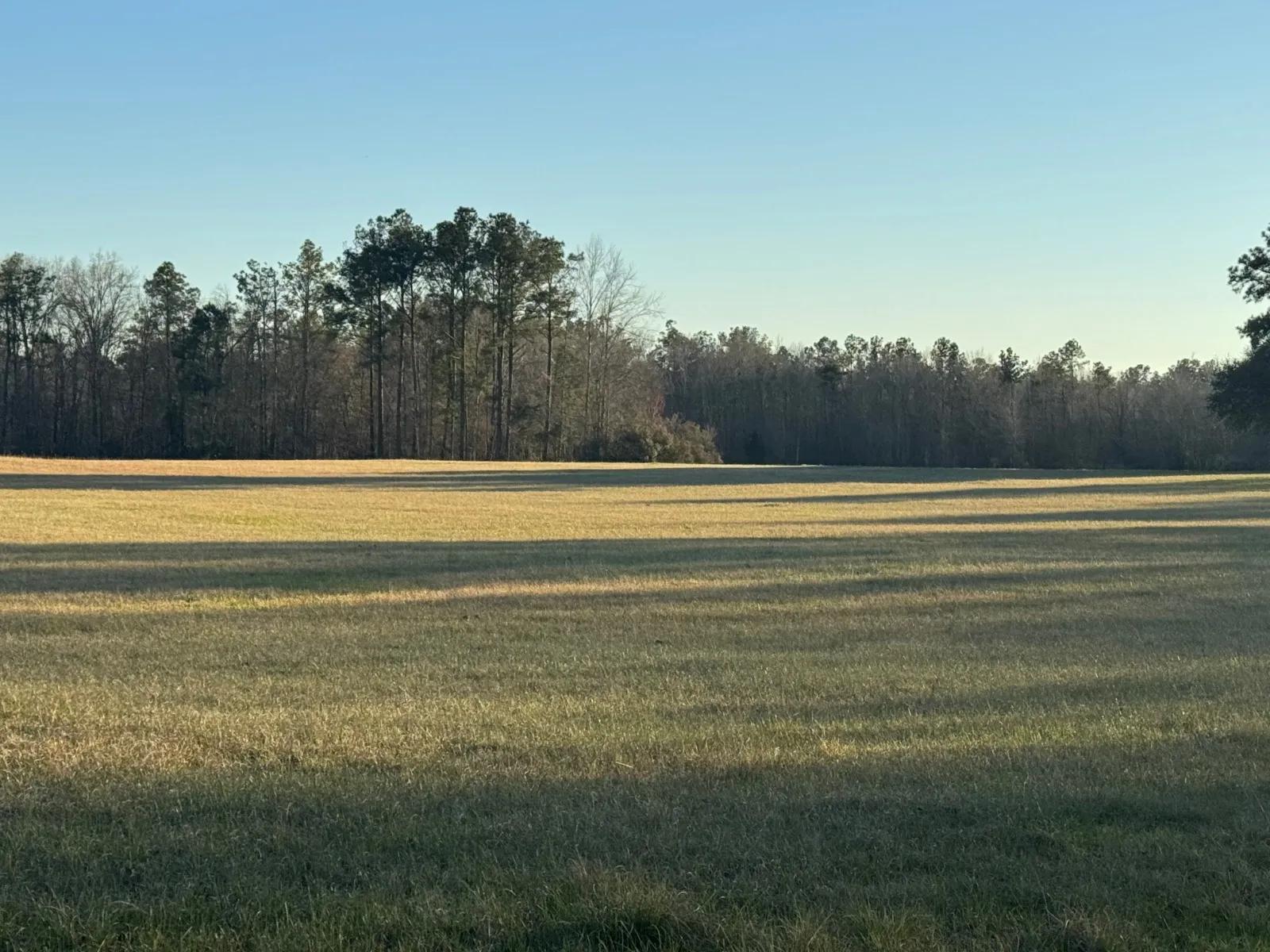 94975546-5
