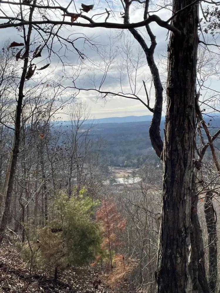 30.97 Acres Catoosa County, GA