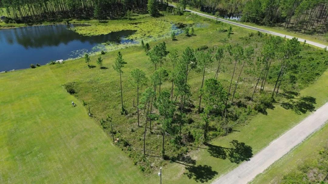 1.5 Acre Lakefront Lot in Bristol GA