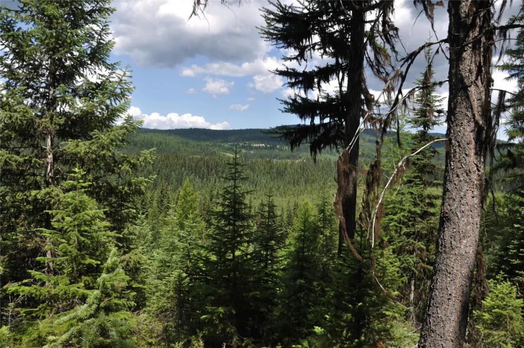 5 Acres in Montana – Hunting, Horseback Riding, Cabin + Creek – $225,000.   https://www.purewestrealestate.com/for-sale/3630-logan-creek-road-whitefish-mt-59937/id_311045