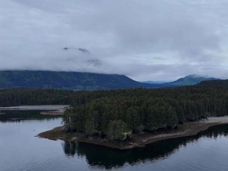 Dry Spruce Island