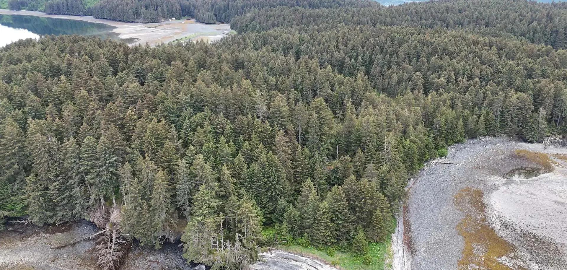 95097182-24
