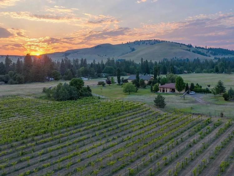Ten Spoon Winery