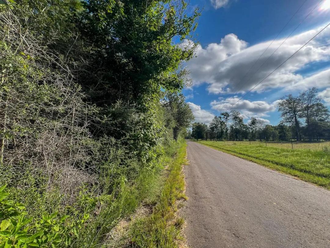 14 Acres | T-4 | CR 517 | 287052