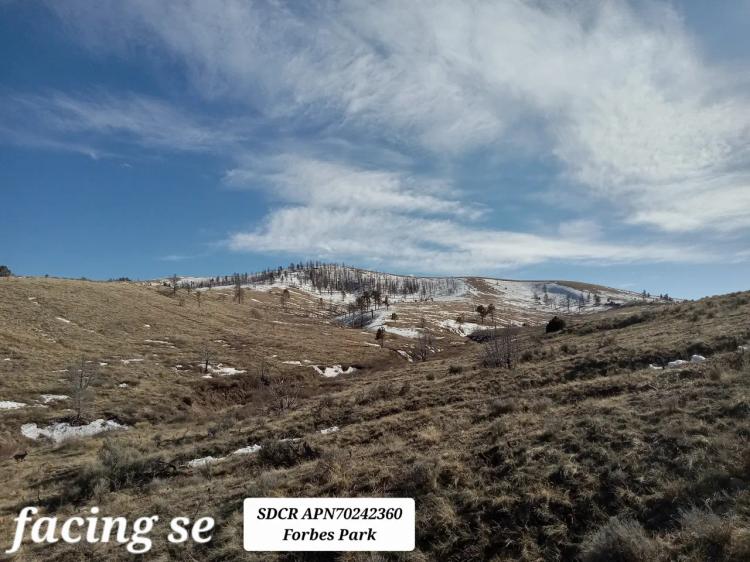 Incredible Views - Wet Weather Creek - Fort Garland Colorado