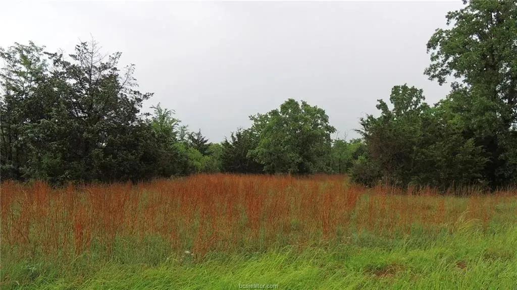 0.53 Acres of Land for Sale in Somerville, Texas