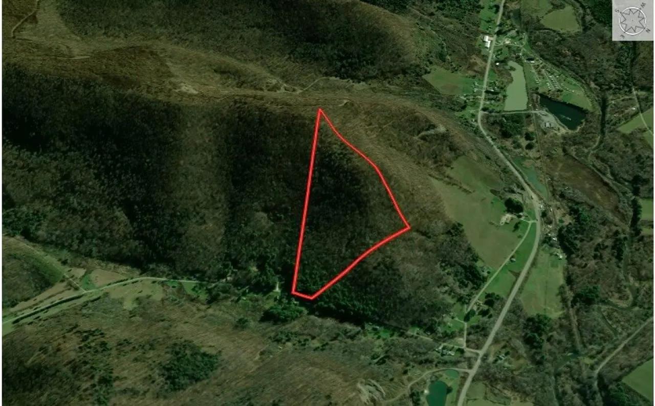 95142569-1