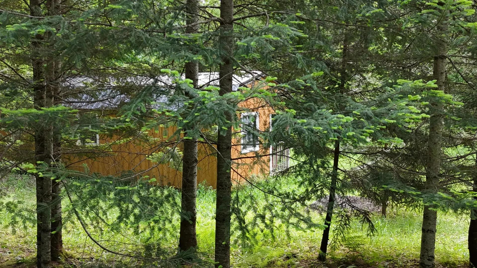 95159155-6