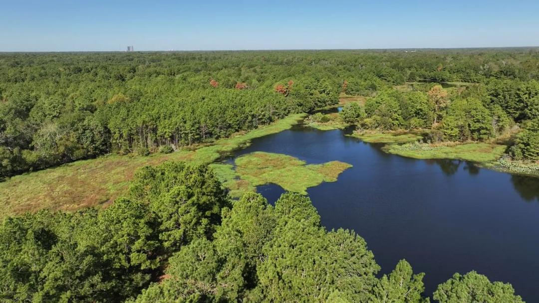 813 +/- acres - Wetland Mitigation Bank Potential