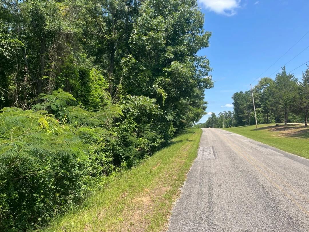 42.00 Acres at 0 Mount Willing Road