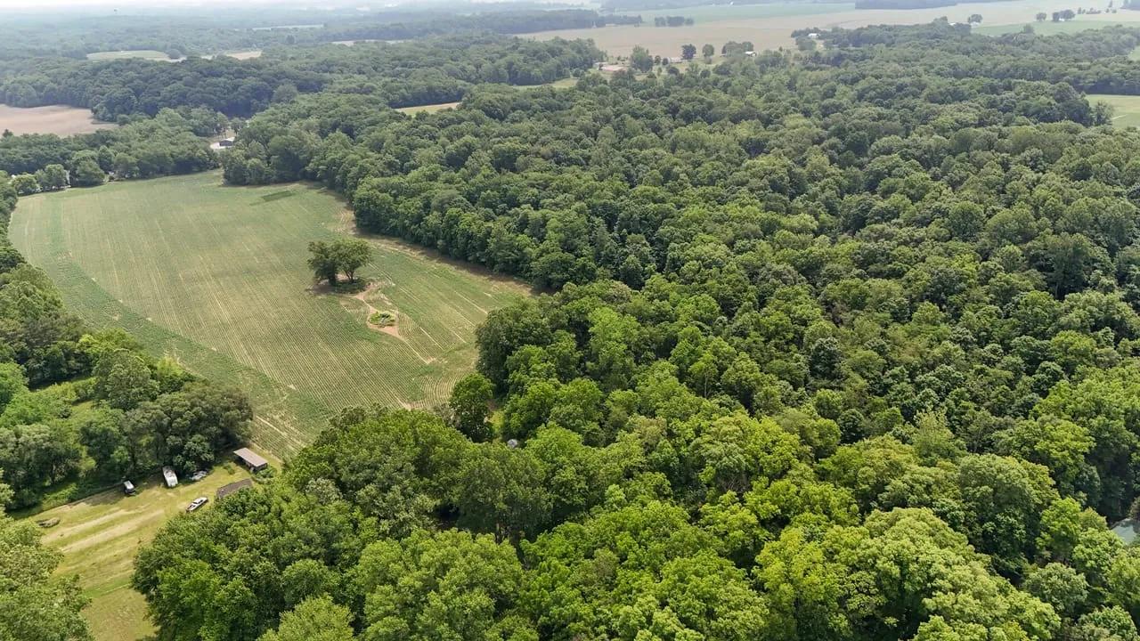 95206647-82