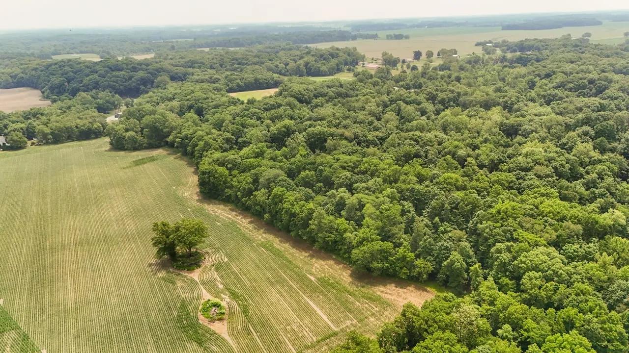 95206647-84