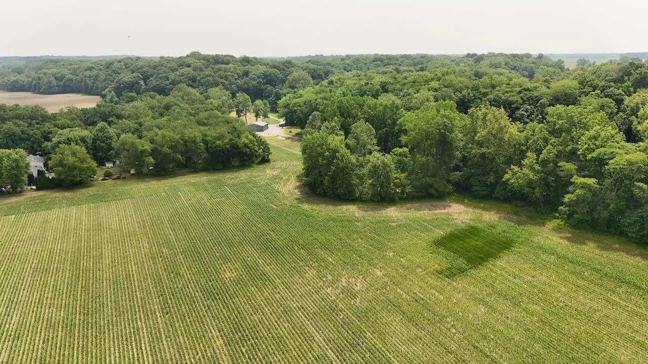 95206647-87