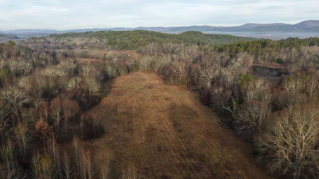 13.93 Acres [Tract 6] in Montgomery County, AR
