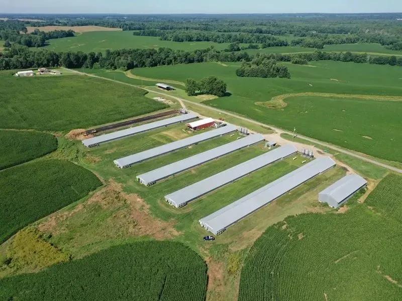 Green Valley Broiler Farm – Five House Farm in Hickman County, Kentucky