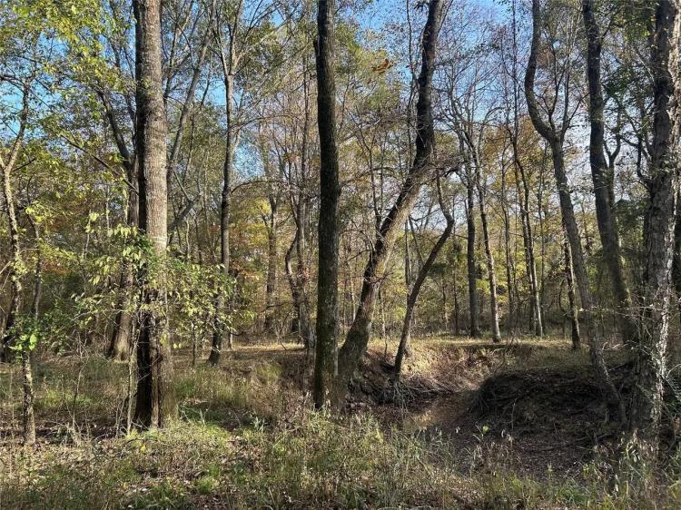 TBD County Road 1412 Bogata, TX 75416