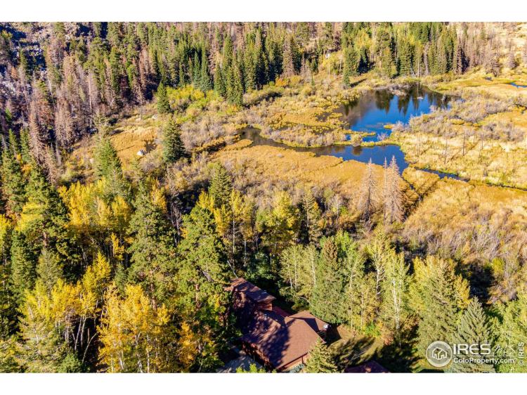 88 Shady Rest Ln Bellvue CO 80512, Larimer, CO