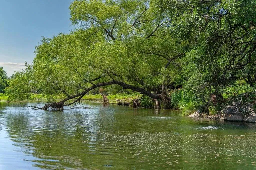 189.63 Acres of Land for Sale in Mason, TX
