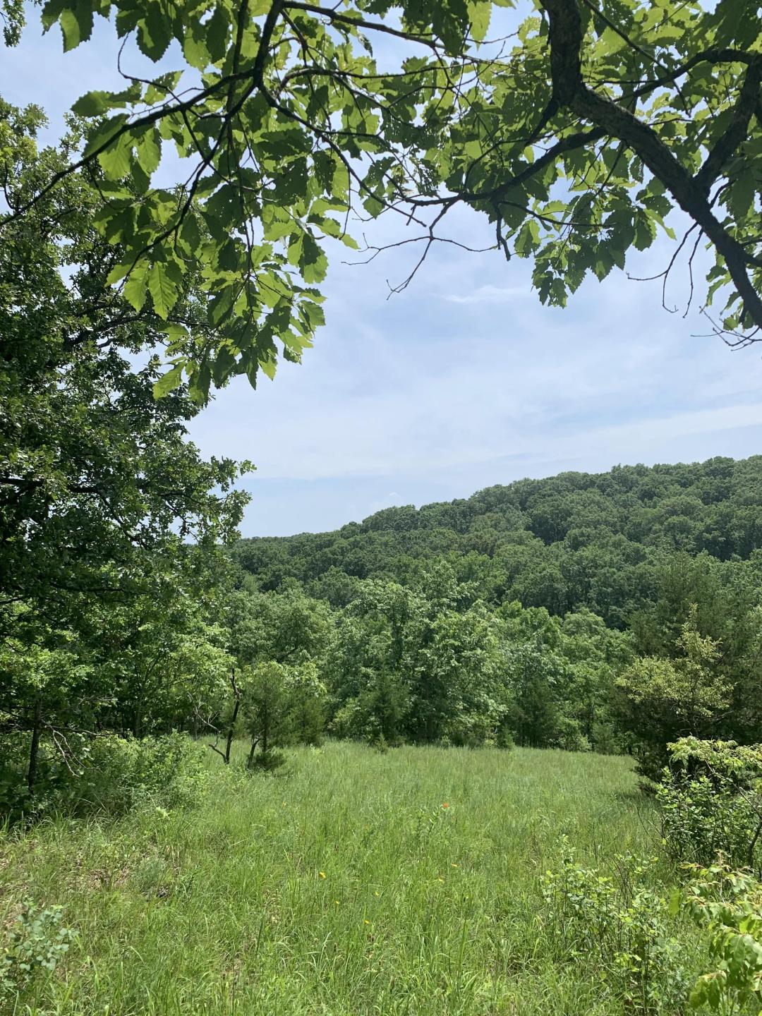 The Best All Around Setup on 62 Acres Morgan County Mo