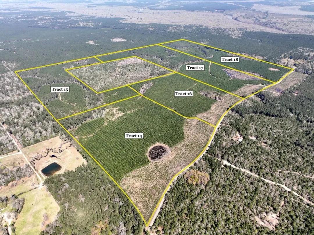 40 acres | T-16 | Spurger Pines North