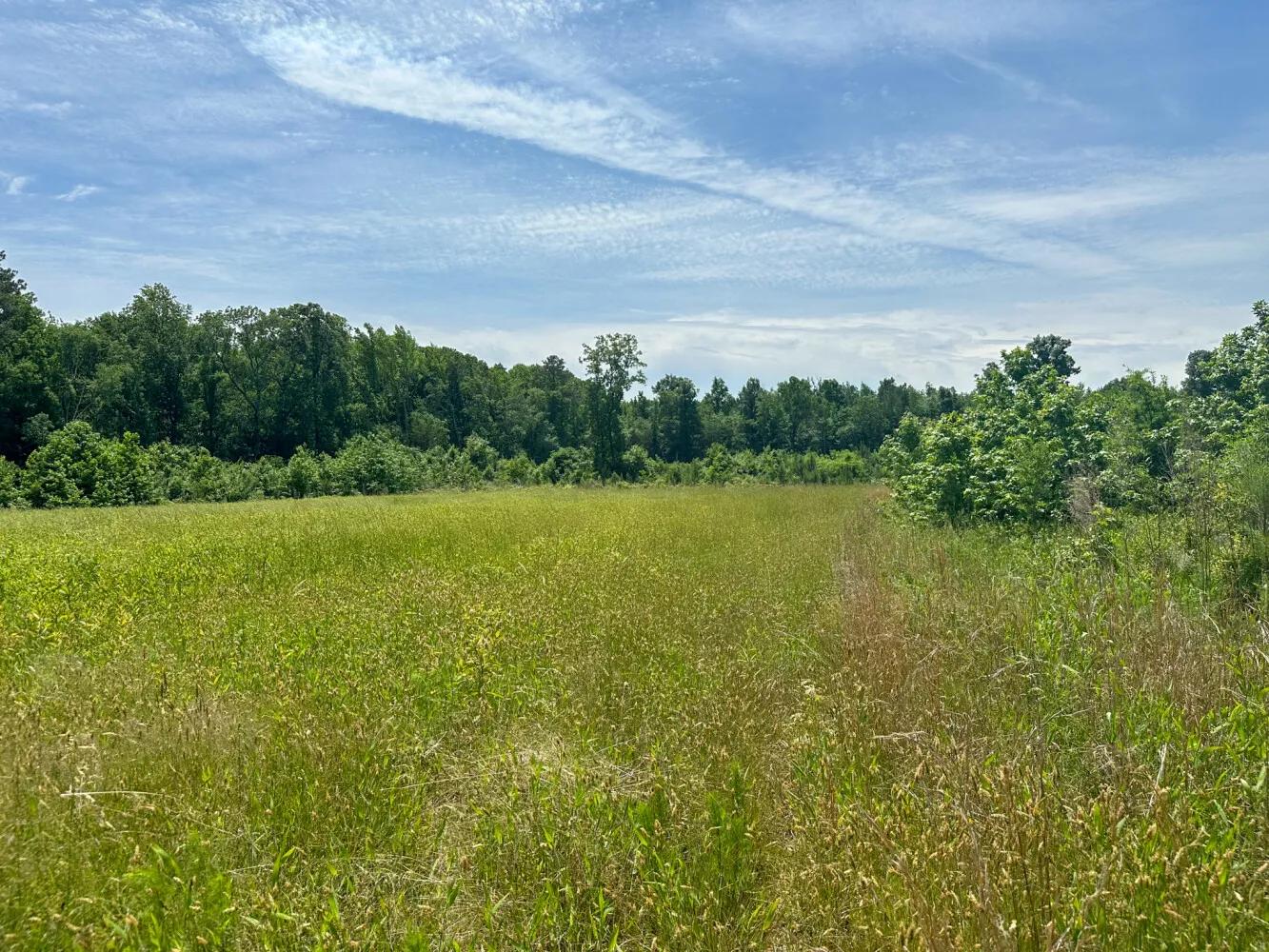 95372223-13
