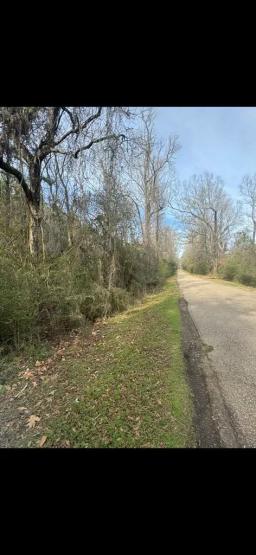 Rosemound Loop Pic 2
