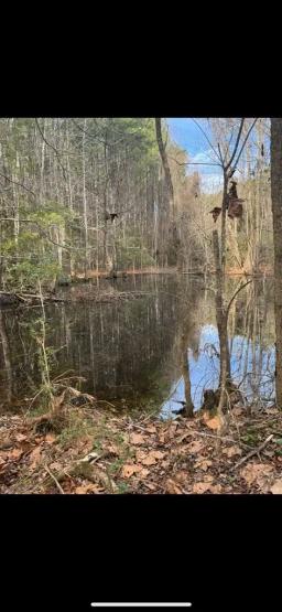 Rosemound Loop Pic 3
