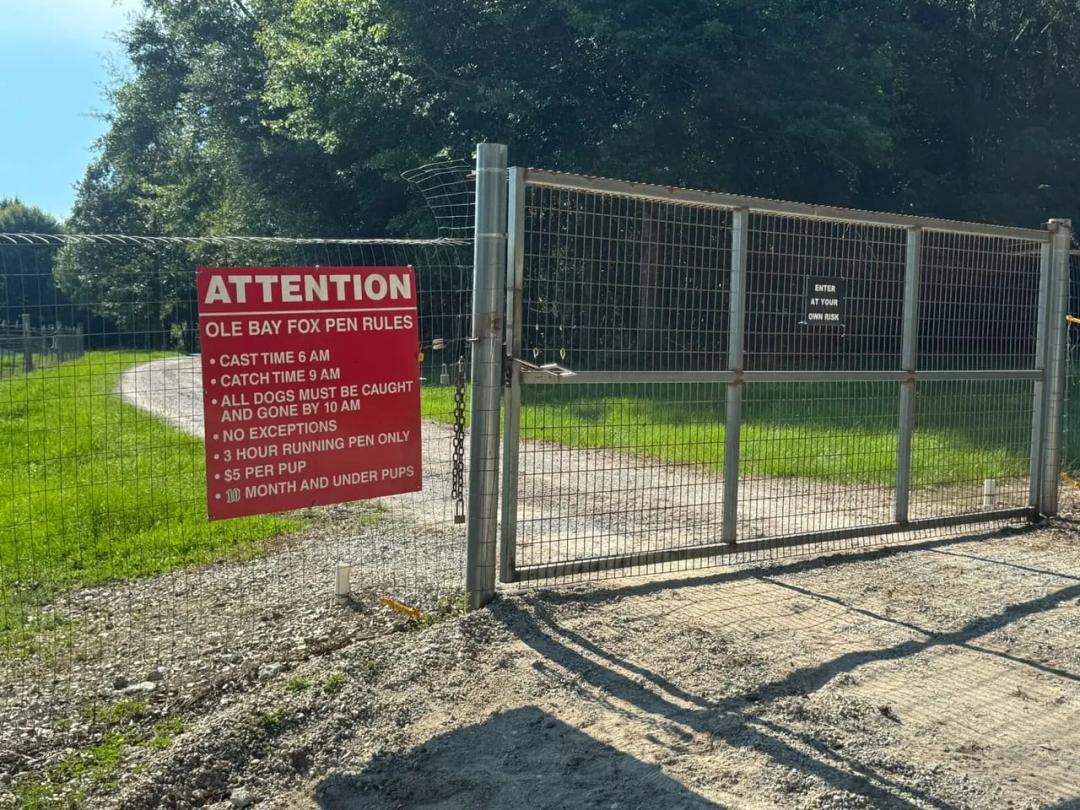 Ole Bay Fox Pen