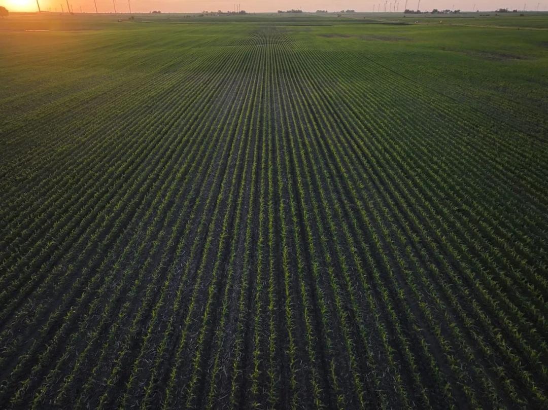 Listing #17648 - 160.00 acres in Story County, IA