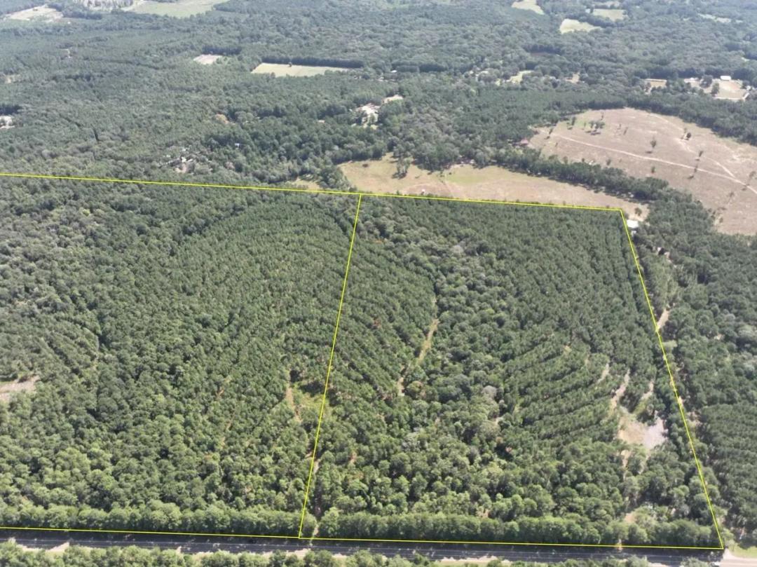 54 Acres | T-7 | FM 256