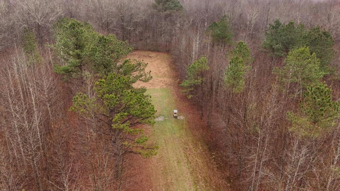51 Acres in Oktibbeha County, MS 