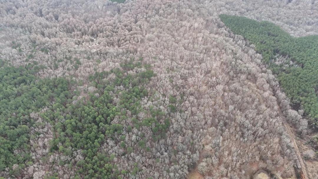 50 Acres in Lafayette County, MS 