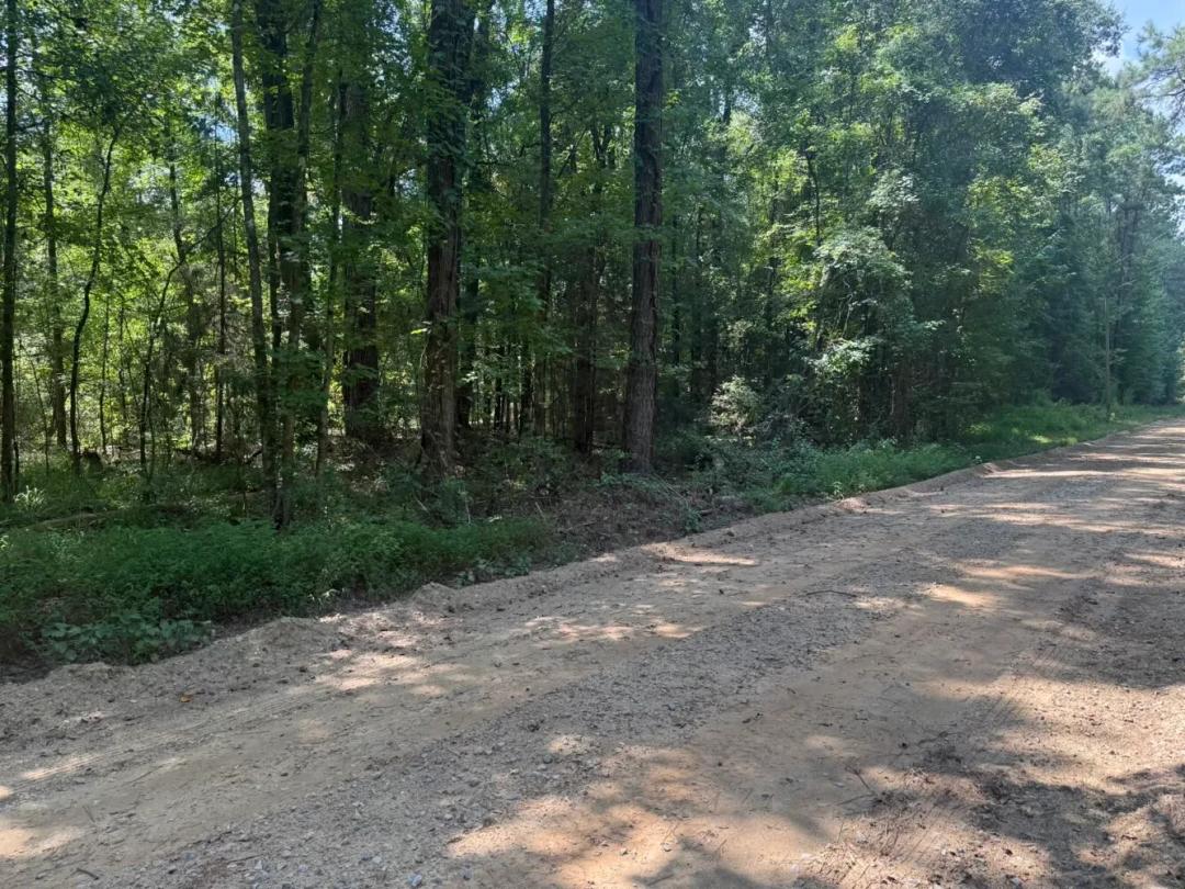 64.00 Acres at 0 Pace Landing Road