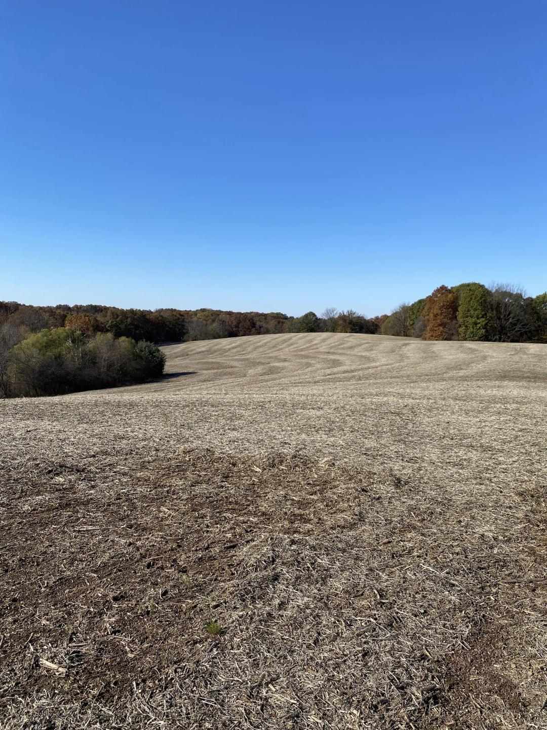 Loaded 38+/- Acre Howard County Farm