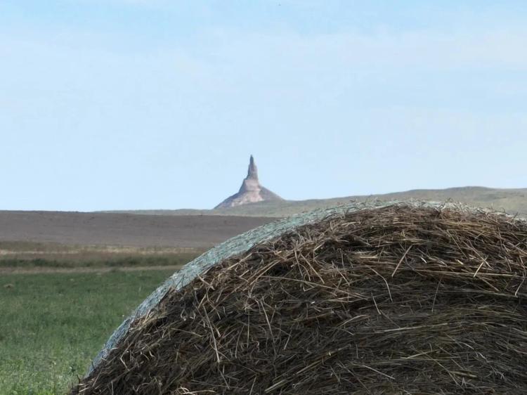 Chrisman Farm