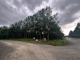 95585385-0