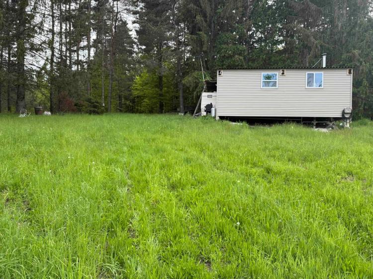 35 acres Camper with Woodlands near State Forest in Conesville NY 825 Bates Church Rd